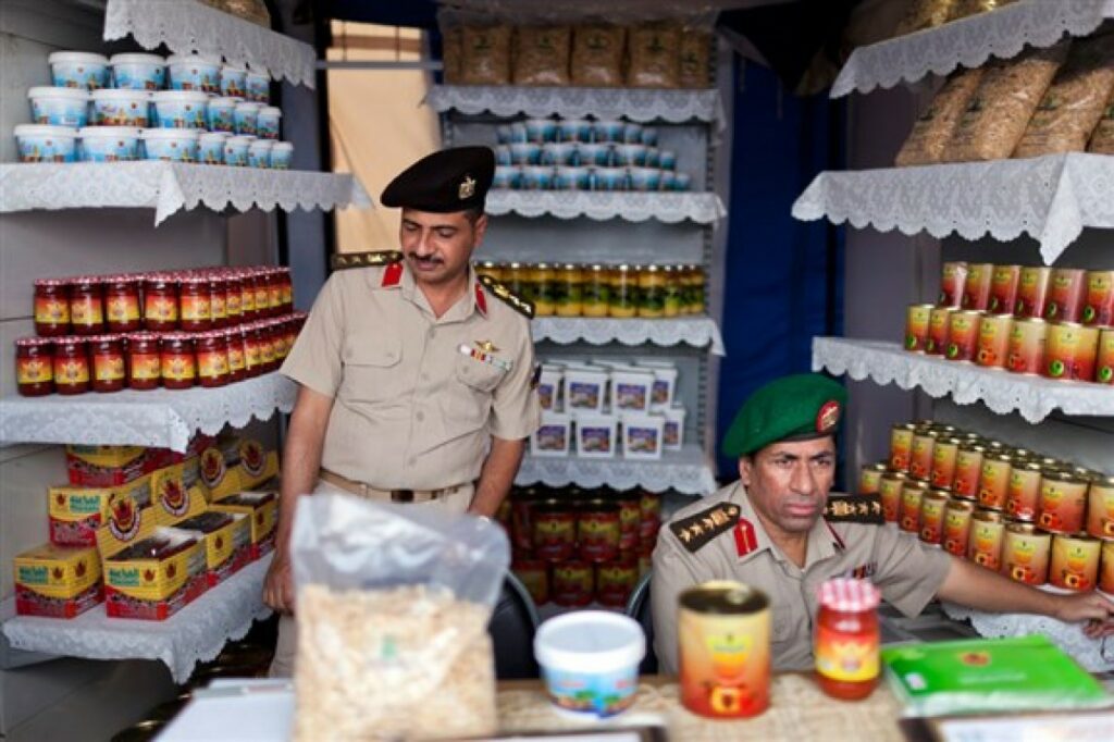 تدخل الجيش في الاقتصاد المصري